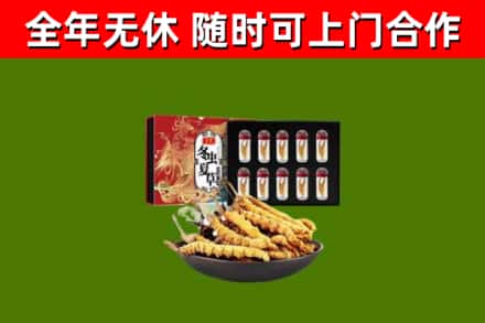 广饶县回收冬虫夏草价格