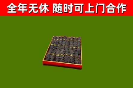 广饶县回收海参